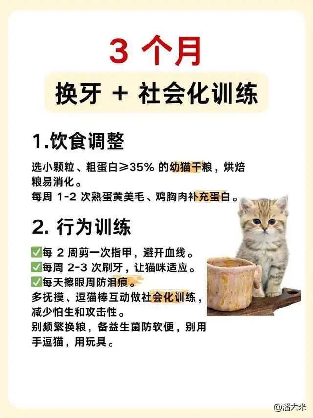081550ayu7wrh87ywwysy0.webp.thumb.webp.webp
