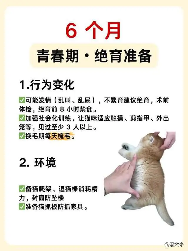 081559lowzpedgqloooo1t.webp.thumb.webp.webp