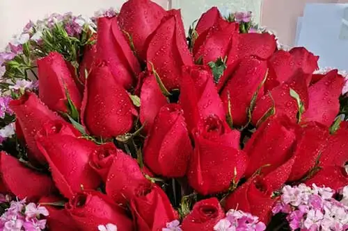 2-20201208141059.webp.webp