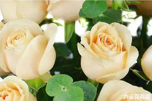1-20190715085026.webp.webp