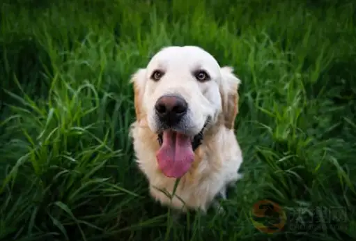 69e2cf1c17748a745ce7f025e5f55cd5.png.webp