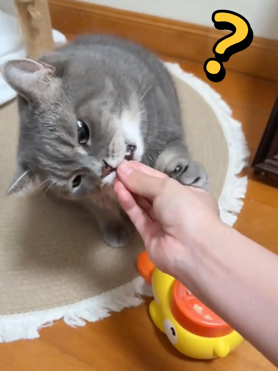 9a76ac1dc2ae4b2ba3e524bf8767f427~tplv-tt-origin-web:gif.jpeg.webp