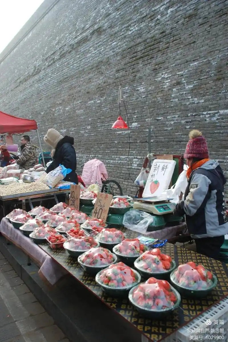 9a6f9dbc1312fd29981a3f1636da6e09_u=37990254121186717419fm=253fmt=autoapp=138f=JPEG_w=800h=1196.webp