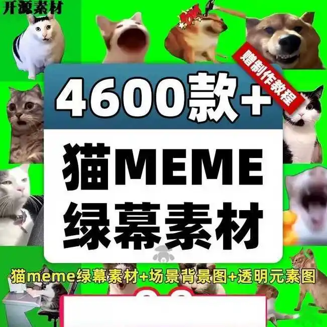 854fc16c2ebc6181de738ac8b7b5f66d_1-65.webp
